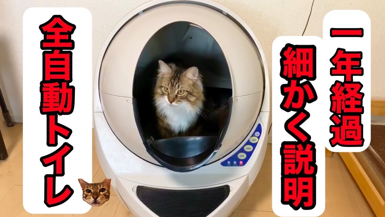 キャットロボットオープンエアーの仕組みと動作を紹介【全自動猫トイレ