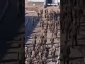 «Раздели догола, бьют дубинками». Видео из военной части Наро-Фоминска #shorts