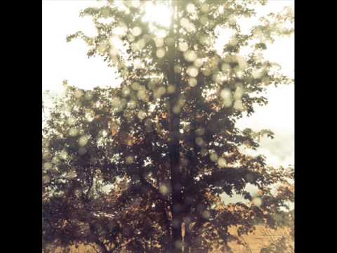 Ex Confusion - If There Is Love