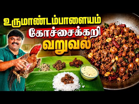 இந்த வீடு trending ஆகப் போகுது !! - வீட்டுச்சுவையில் வரமிளகாய் கறி & பச்சை மிளகாய் கறி 