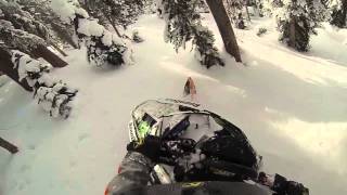 Mountain Skillz December Tree Riding