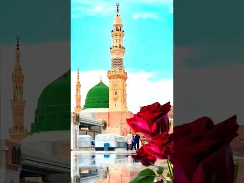 اكلتك  اغاني   ورك   يايمه