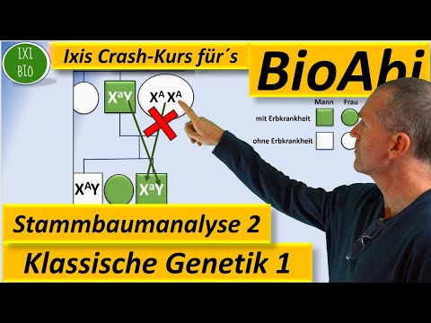 DNA und Genetik einfach erklärt (explainity® Erklärvideo)