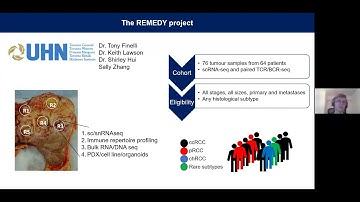 Daniel Stueckmann - TorBUG Talk - A single-cell map of the tumour microenvironment in RCC