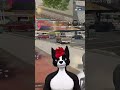 trolled by chat | NerdyC160 on #Twitch #callofduty #mw3 #furry #vtuber