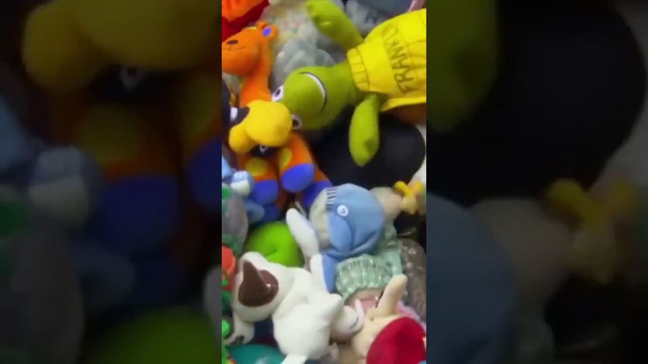 Uncovering the Unbelievable Memory of a Super Smart Dog