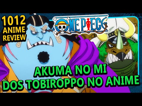 One Piece Episode #1020 Anime Review