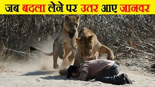 अपना बदला लेकर ही माने ये जानवर | | When Animals Take Revenge