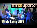 Whole Lotta Love by Trampled Underfoot