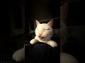 #muhehe #cat #funny #meme #fyp.     follow me @fm_zip
