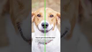 Edit Like a Pro: Enhancing Pet Pics with Ease! |RetouchMe App screenshot 5