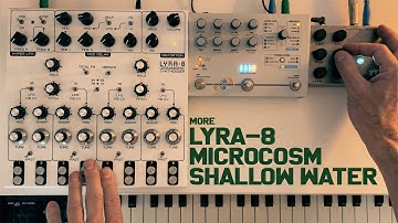 More exploration of the Shallow Water pedal with the Soma Lyra-8 and Hologram Electronics Microcosm