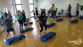 wavefit it gallery 007