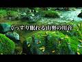 熟睡眠するためのトロける山奥の川音