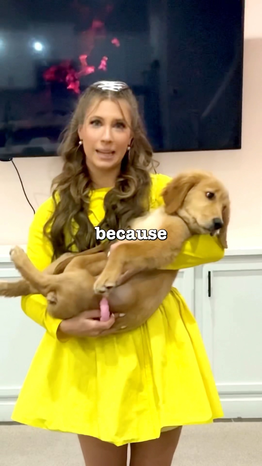 Helping My Puppy Overcome Her Fear Of Fireworks ?
