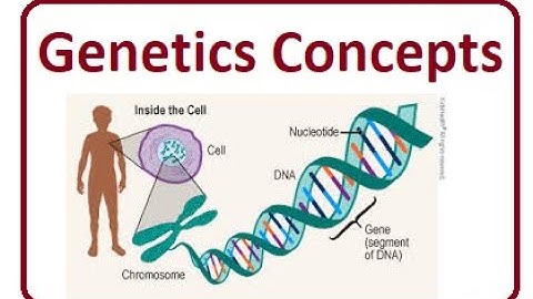Genetics and Omics Technologies | 2024