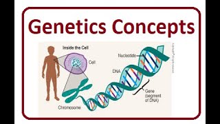 Genetics and Omics Technologies | 2024