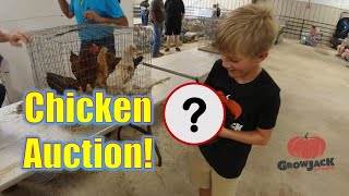 Our First Chicken Auction!
