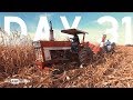 WHAT ARE WE DOING!?! - Harvest Vlog - Day 31