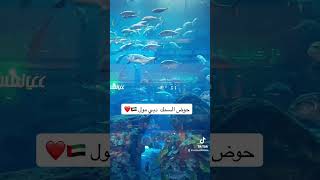 حوض السمك ف دبي مول الامارات العربيه المتحدة ولا اروع 👍🇦🇪🇦🇪🇦🇪