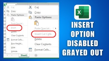 Hoe u de invoegoptie kunt repareren die is uitgeschakeld of grijs is in 2025 - Hoe u de invoegopt...