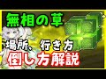 無相の草の行き方、倒し方解説【原神】場所　ナヒーダ突破素材　スメール砂漠GenshinImpactげんしん初心者無課金向け攻略無双の草むそうのくさ
