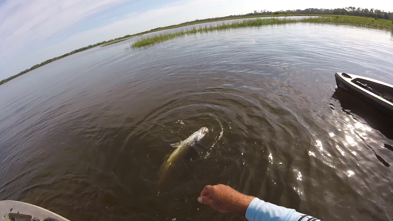 How to Catch a Flounder Fishing Florida (The Ultimate Guide) - FYAO  Saltwater Media Group, Inc.