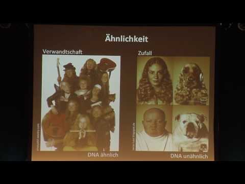 Ich bremse auch