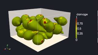 Damage prediction on pears during transportation.