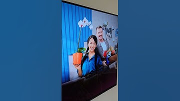 Free TV Empty Nest Refresh Liza Koshy Orlando Soria The Roku Channel Home Decoration Renovation