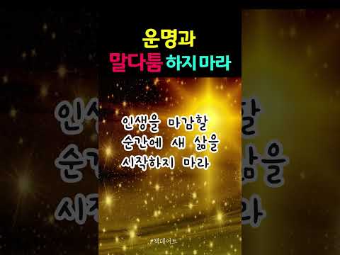 운명과 말다툼 하지 마라   #shorts #운명 #인생