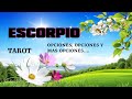 ESCORPIO ♏️ ES HORA DE TOMAR TU DECISIÓN🥰😍✨🔥 #tarot #escorpio #scorpio #horoscopo #hoy