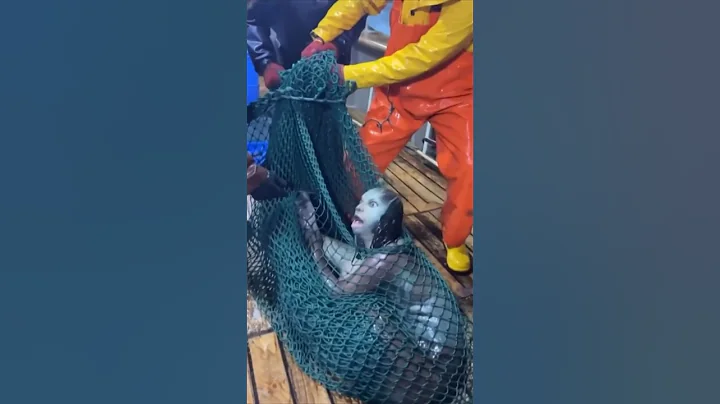 Caught on Camera: A Real Mermaid?! 😱🧜‍♀️🌊 #Shorts