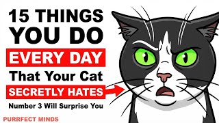 15 Things You Do Every Day That Your Cat Secretly Hates
