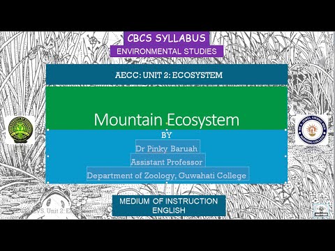 Mountain Ecosystem