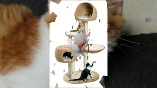 домик для кошки купить домик для кошки купить
