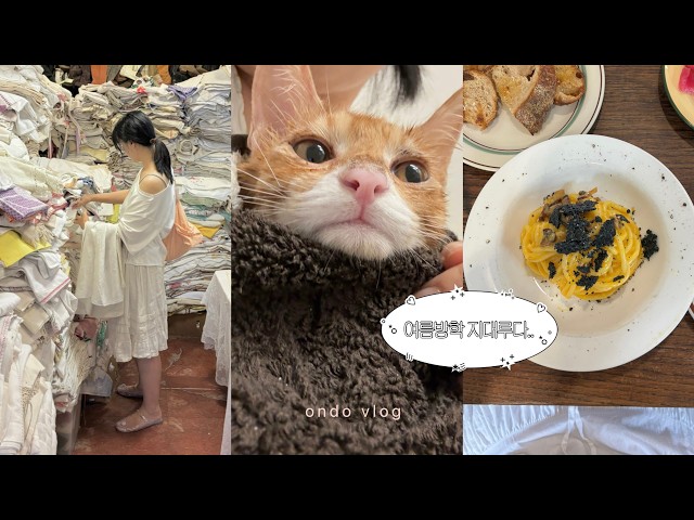 육묘에 지친 나..🐱카페 대청소,동묘 빈티지 쇼핑,혼자 파스타 먹으러 간 일상