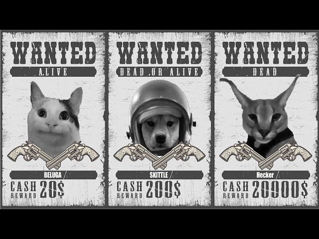 Cat Beluga, Wanted Dead or Alive | Magnet