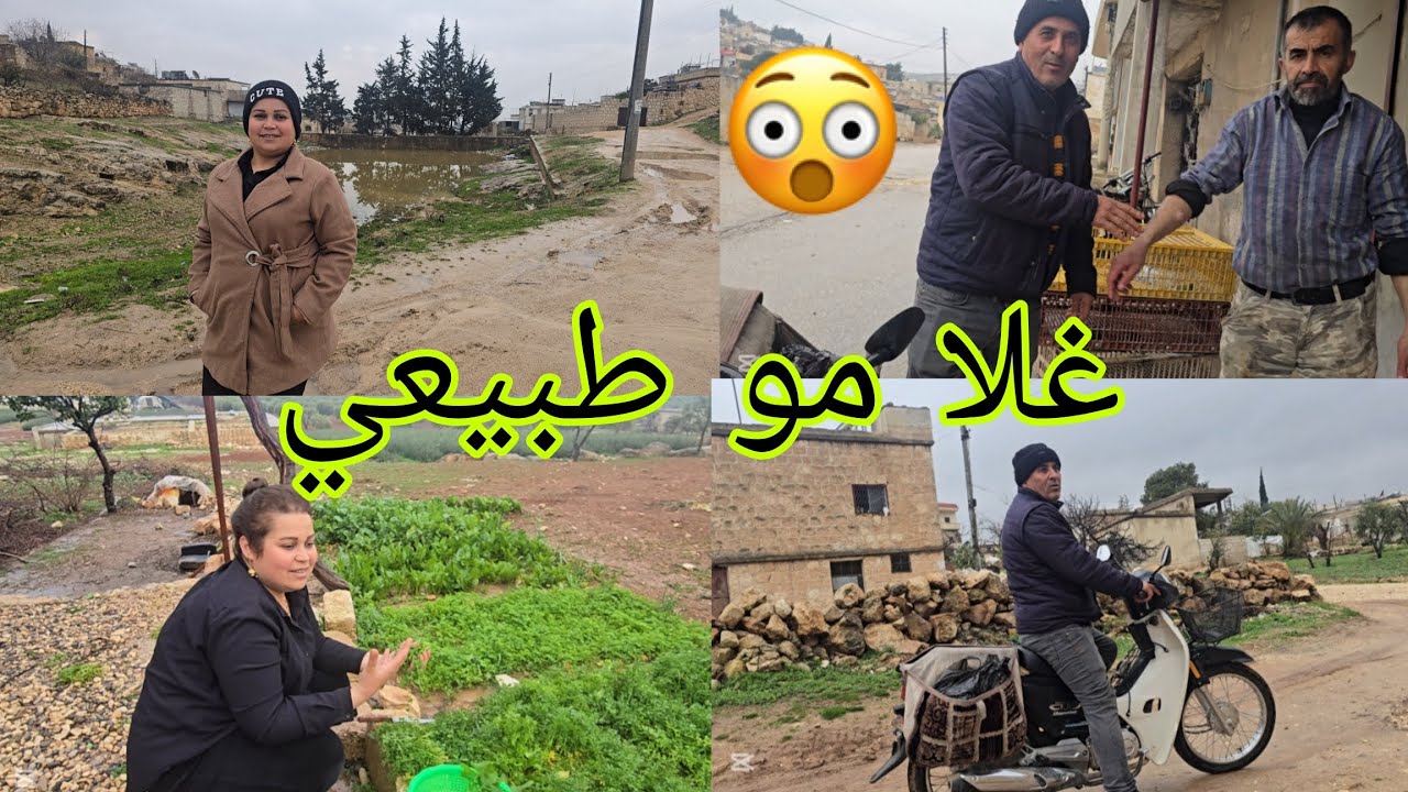 الغلام طبيعي في الاسعار اللحوم مع روتين المطر في ضيعه #قناه_ام_رودي #اكسبلور 