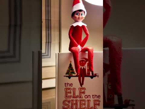 ALHI Presents: InterContinental Miami Holiday Story Teaser 1
