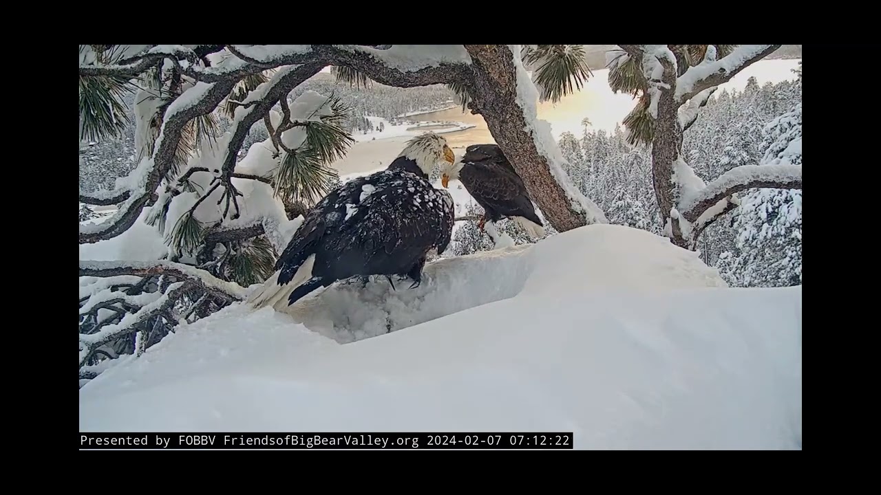 2024 SEASON JACKIE & SHADOW: SHIFT CHANGE FOBBVCAM