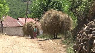 Dosja.al- Detin E Kanë Parë Vetën Në Televizor, Pamje Nga Bulqiza, Gratë Ecin Me Orë Të Tëra