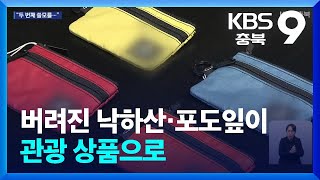 버려진 낙하산·포도잎이 관광 상품으로 / KBS  2024.05.11.