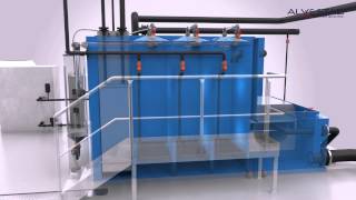 Alvestad Animation By Xvision