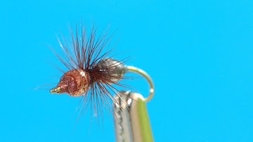 Hard Body Ant - Fly Tying Lesson Video Tutorial by Curtis Fry