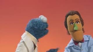 Sesame Street   Cookie Monster Expirment