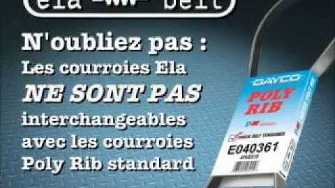 Dayco - ELA Belt - French