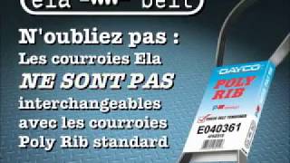 Dayco - ELA Belt - French