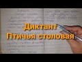 Диктант Птичья столовая