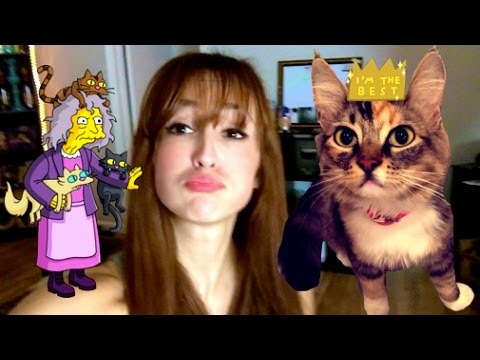 CRAZY CAT LADY - YouTube